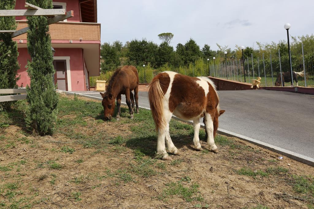 Agriturismo Ciociaro " Il Colle " Hotel Ristorante Ceprano Buitenkant foto